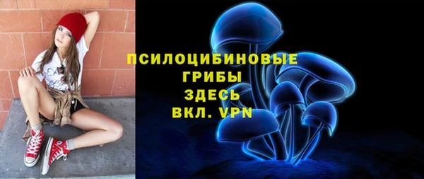 соль ск Касимов