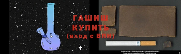 apvp Каменка