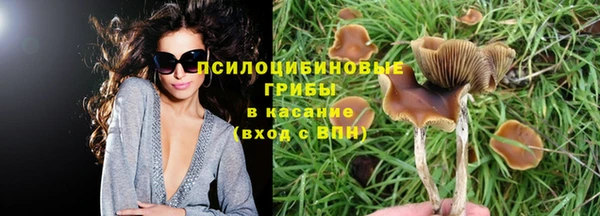 СК Карпинск