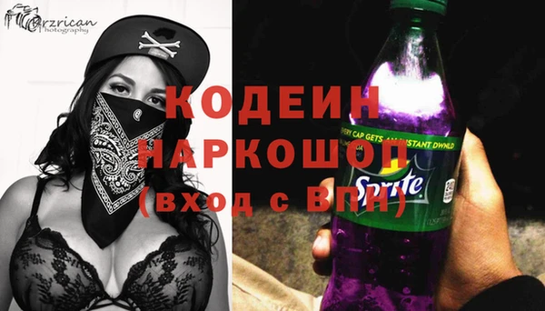 apvp Каменногорск