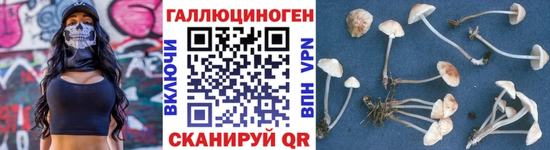 Купить закладки  Котово  Галлюциногенные грибы ЛСД 