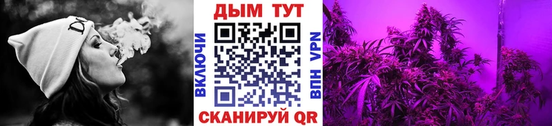 Купить где  Котово  Шишки марихуана план 